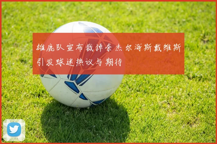 雄鹿队宣布裁掉奈杰尔海斯戴维斯引发球迷热议与期待