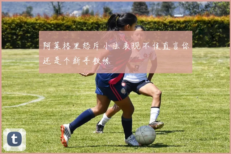 阿莱格里怒斥小法表现不佳直言你还是个新手教练