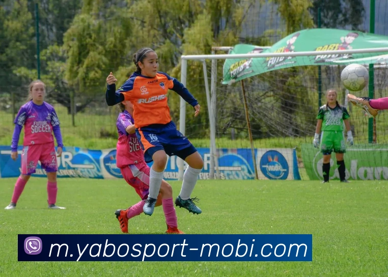 亚博体育APP 封面图